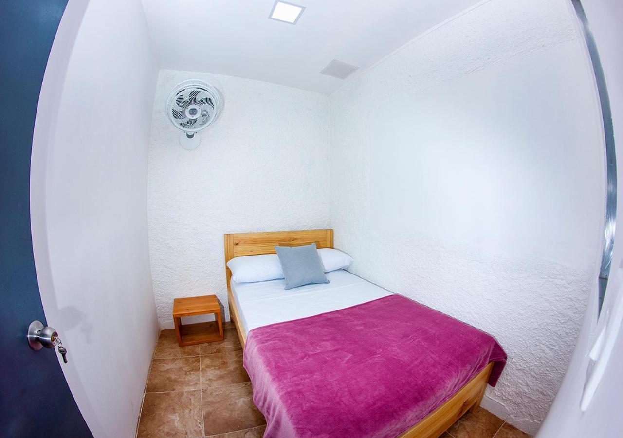 Charlie Palace Hostel เมเดยิน ห้อง รูปภาพ